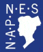 napnes logo, napnes,  National Association for Practical Nurse Education and Service, Inc. 